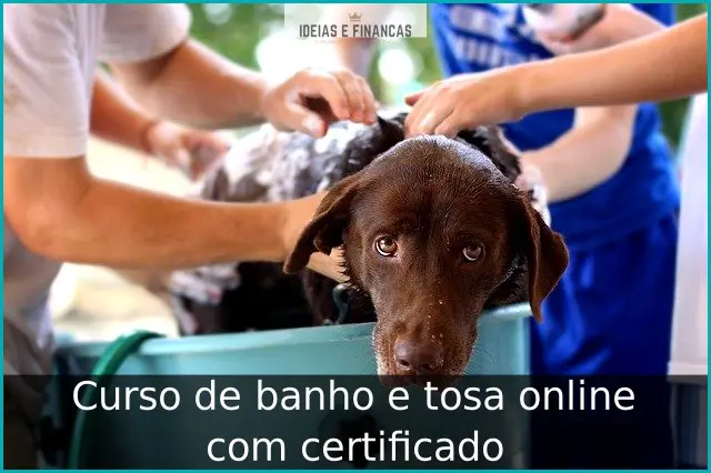 Curso de banho e tosa online com certificado Curso de banho e tosa online com certificado