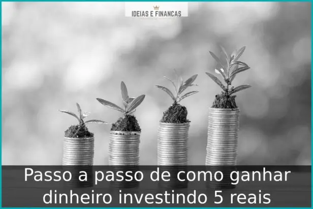 Passo a passo de como ganhar dinheiro investindo 5 reais