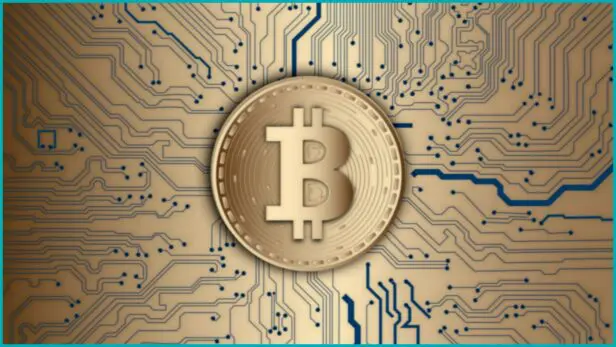 Locação de criptomoedas: saiba as vantagens de investir