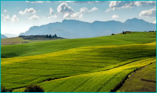 Investimento em terras agrícola