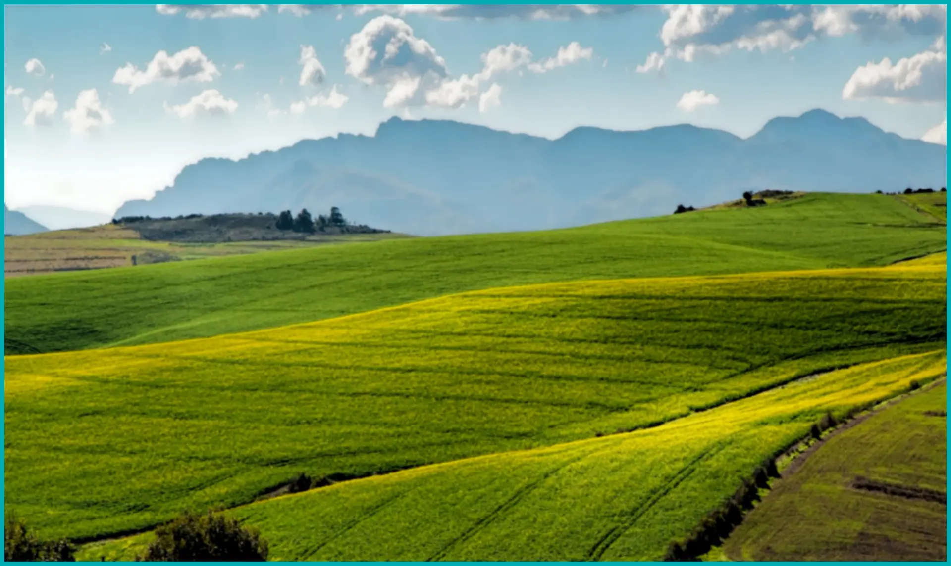 Investimento em terras agrícola Investimento em terras agrícola