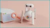 SEO para Pequenos Negócios: Como Conseguir Backlinks Sem Gastar Muito SEO para Pequenos Negócios: Como Conseguir Backlinks Sem Gastar Muito