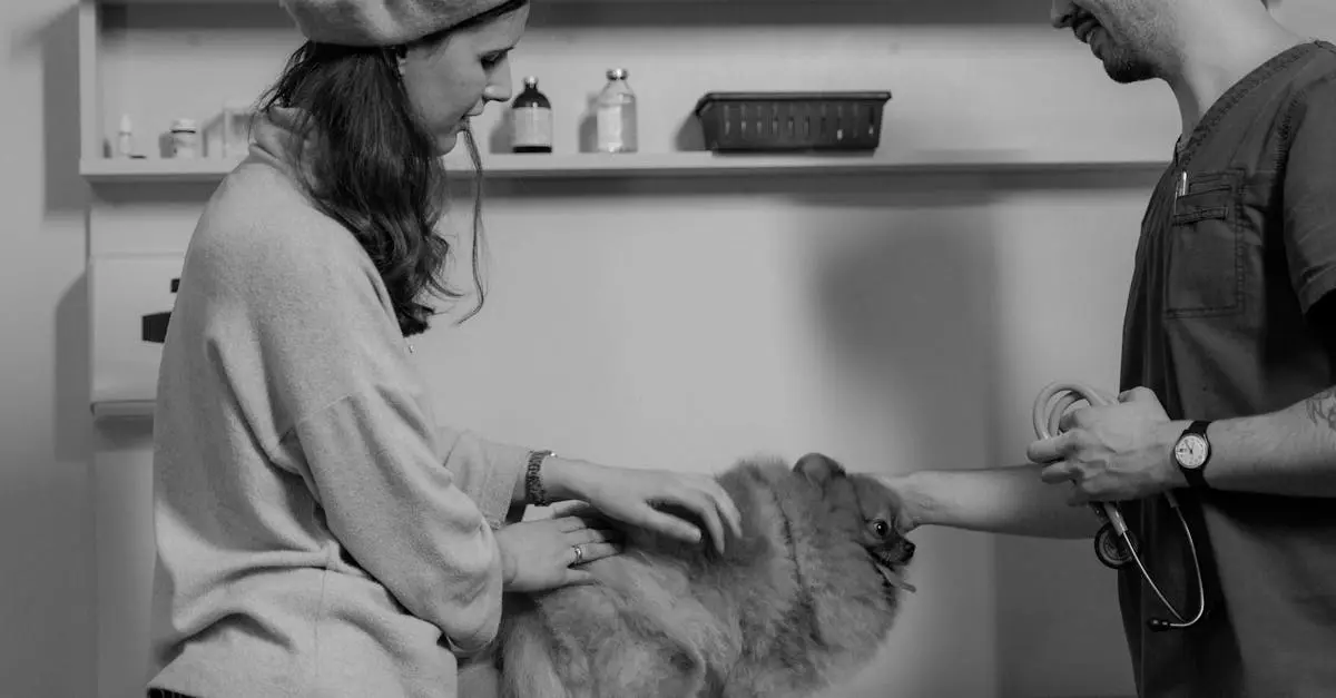 Essa cobertura em seguros para pets é um alívio financeiro Essa cobertura em seguros para pets é um alívio financeiro