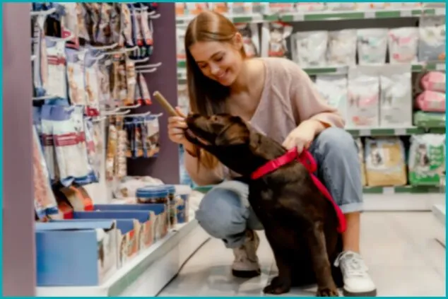 Guia para aproveitar descontos em rações, brinquedos e acessórios para animais de estimação