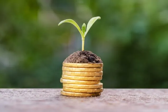 O que são finanças sustentáveis e como afetam seu bolso