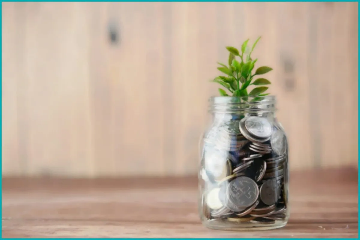 Crédito para pequenas empresas: alternativas para financiar o crescimento